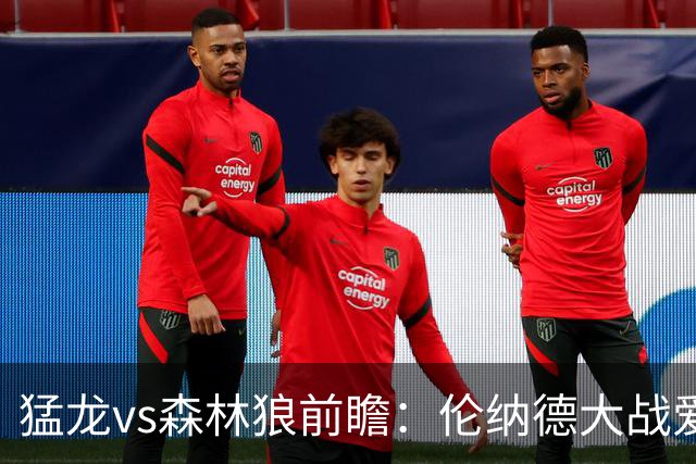 猛龙vs森林狼前瞻：伦纳德大战爱德华兹，一场不同风格的强硬对决