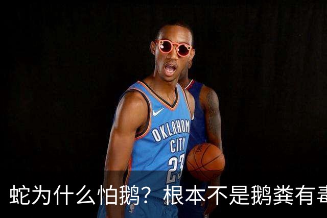 蛇为什么怕鹅？根本不是鹅粪有毒！真正原因是大鹅三大绝杀技能